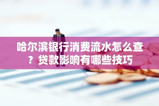 哈尔滨银行消费流水怎么查?贷款影响有哪些技巧